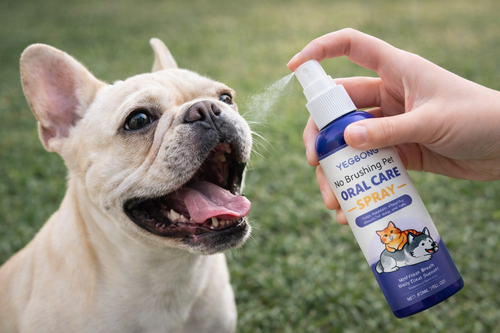 OralPaw™ Pet Dental Spray – Instantly Eliminates Bad Breath